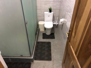 阿克拉的住宿－Aseda Lodge Gh，浴室设有卫生间,上面种植了植物