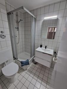 a bathroom with a shower and a toilet and a sink at Katrins-Wohntraum in Rendsburg