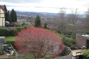 uma vista da varanda de uma casa com uma árvore vermelha em Ensuite spare room in family home Dudley em Sedgley