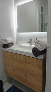 uma casa de banho com um lavatório e um espelho em Beau T3 à 5 min du Grand Stade avec parking gratuit em Villeneuve d'Ascq