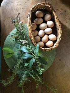 una cesta de huevos en una mesa con un montón de hierbas en Prana Eco hospedaje en Córdoba