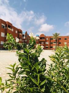 a bush with flowers in front of a building at Belle appartement vue de mer in Zarzis