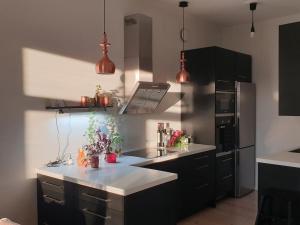 Kitchen o kitchenette sa Top floor spacious apt in heart of Kallio