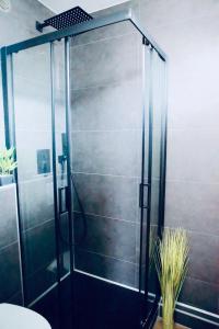 a shower with a glass door in a bathroom at Alison's Suite in Thonon-les-Bains
