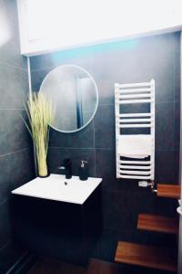 a bathroom with a sink and a mirror at Alison's Suite in Thonon-les-Bains