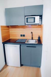 una pequeña cocina con fregadero y microondas en Alison's Suite en Thonon-les-Bains