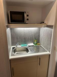 Una encimera de cocina con fregadero y microondas. en Seeblick 210, en Hahnenklee-Bockswiese