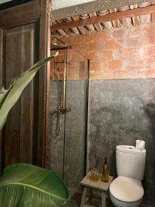 a bathroom with a toilet and a shower and a plant at L'ESTABLE DE CAN TABERNER in Bigues i Riells