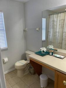 a bathroom with a toilet and a sink with a mirror at Cozy Stylish Townhome in Davenport