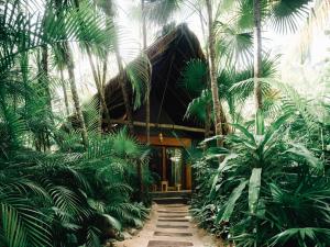 a building in the middle of a jungle with palm trees at Nomade Tulum in Tulum