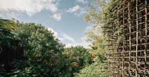 a forest of trees with a blue sky in the background at Nomade Tulum in Tulum