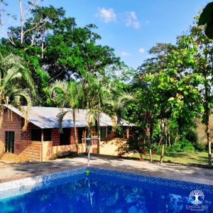 ein Haus mit einem Pool und Bäumen in der Unterkunft CHOCLINO ECOLODGE -Bungalows in Tarapoto