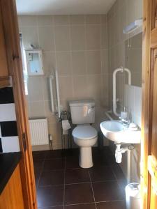 a bathroom with a toilet and a sink at Cheerful 3 bedroom country farm house in Ennis