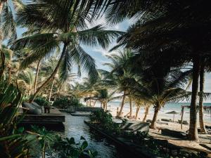 a beach with palm trees and a body of water at Nomade Tulum in Tulum