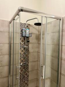 a shower with a glass door in a bathroom at OLD TISA Apartment in Senta