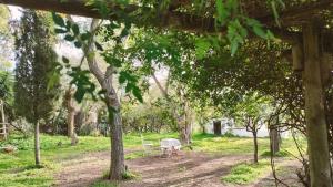 a table and chair in a park with trees at Las Brujas in Sanlúcar la Mayor +19 photos