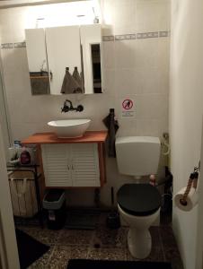 a bathroom with a white toilet and a sink at Helles Doppelzimmer im Untergeschoss mit Bad im Grünen nahe Potsdam in Michendorf +4 photos