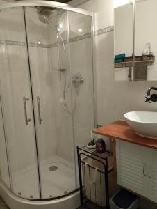 a bathroom with a shower and a sink at Helles Doppelzimmer im Untergeschoss mit Bad im Grünen nahe Potsdam in Michendorf