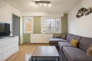 salon z kanapą i telewizorem w obiekcie Cosy, lumineux - 1ch'- 2 lits - 4pers'- Streaming w Metz