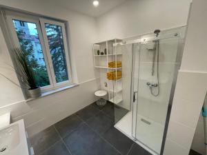 een badkamer met een douche, een toilet en een raam bij City Apartment Messe Graz Amélie in Graz