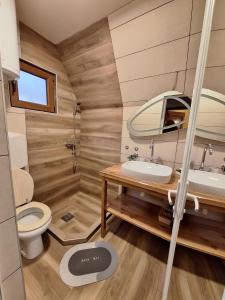 un bagno con un water, un lavandino e uno specchio di Brvnare Todorovic a Crni Vrh