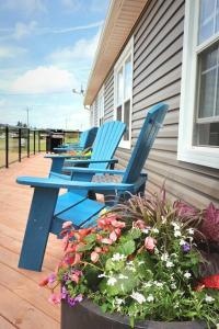 três cadeiras azuis sentadas num alpendre com flores em The Summerhouse @ Saint Peters em Saint Peters