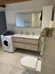 ein Badezimmer mit Toilette, Waschbecken und Waschmaschine in der Unterkunft Duplex au cœur de l’Alsace in Muttersholtz