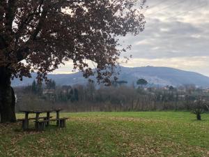 une table de pique-nique sous un arbre dans un champ dans l'établissement Dreams Valley, à Valmontone