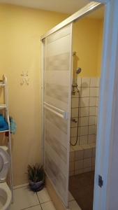 a shower with a glass door in a bathroom at Dushi Curaçaose appartement in Willemstad