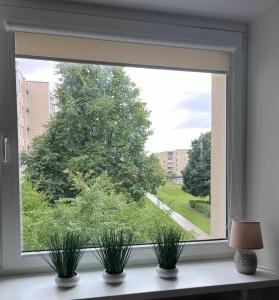 una ventana con dos plantas sentadas en un alféizar de la ventana en Saulėti apartamentai Trakuose/Sunny apartment in Trakai en Trakai