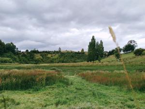 a field with grass and trees on a hill at Hospedaje Martita. in Putemún