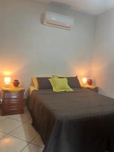 1 dormitorio con 1 cama con 2 mesitas de noche y 2 lámparas en Apartamento El Madroño, en León