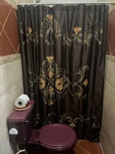 baño con cortina de ducha negra y aseo púrpura en Apartamento El Madroño en León