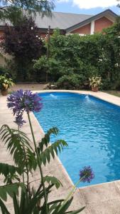 Posada del vino في مايبو: حمام سباحة أزرق مع زهور أرجوانية بجوار منزل