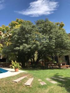 un gran árbol junto a una mesa de picnic y una piscina en Posada del vino en Maipú