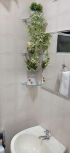 La salle de bains est pourvue d'un lavabo et d'une plante sur une étagère. dans l'établissement Suíte Félix Praia do Anil Angra dos Reis, à Angra dos Reis