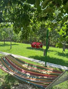 a hammock in a park under a tree at Cozy Shkodra guest house in Shkodër