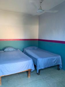 two beds in a room with blue and white walls at Hostal y Temazcal Guemez in Pisté