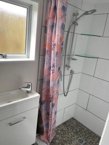 a bathroom with a shower and a sink at Kowhai Landing Beach Cabin in Otaki Beach