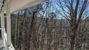 - une vue sur les bois depuis la terrasse couverte d'une maison dans l'établissement Hester Gap - wineries, AT hiking + Dahlonega/Helen, à Cleveland