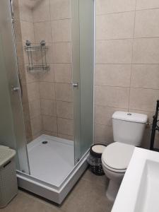 uma casa de banho com um chuveiro, um WC e um lavatório. em Masha em Mamaia Nord – Năvodari