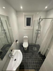 ein Bad mit einem WC, einem Waschbecken und einer Dusche in der Unterkunft Noah Longstay Apartment in Västerås