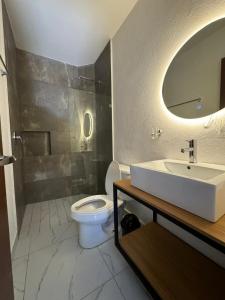 een badkamer met een wastafel, een toilet en een spiegel bij Vidrio Suites Col Americana in Guadalajara