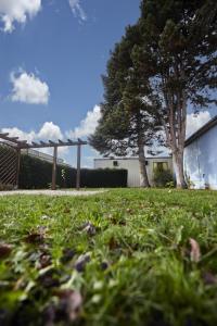 une cour herbeuse avec deux arbres et un bâtiment dans l'établissement Maison 140m2 au calme - Beau jardin - à 15mn à pied du Centre-ville de COLMAR, à Colmar