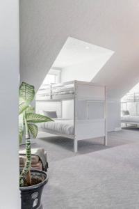 a room with a potted plant and a bunk bed at Emerald Bay Luxury Retreat with Hot Tub in Calgary