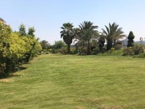 a large field with palm trees and grass at كمباوند الخليج in Cairo