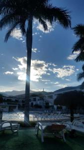 a group of white chairs and a palm tree at APARTASOLES SANTAFE in Santa Fe de Antioquia