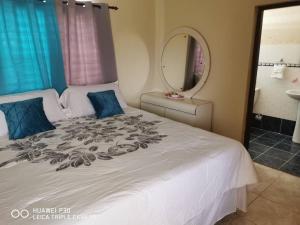 a bedroom with a large white bed with a mirror at Villa Milly Cabrera 