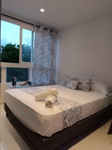 1 dormitorio con 1 cama grande y ventana en Apartamentos Ingrid, en San Andrés