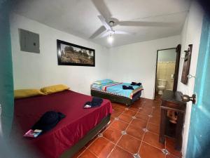 CARIBbEAN Paradise Hotel客房内的一张或多张床位